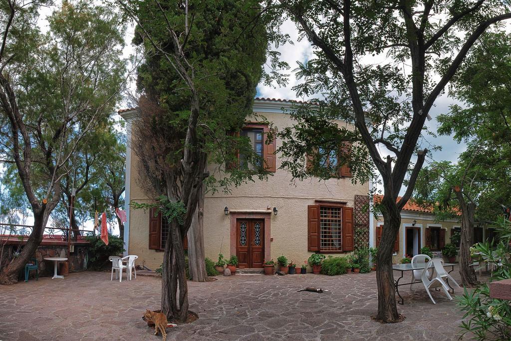 Lela Kaptani Eftalou Olive Grove Mythimna Exterior foto